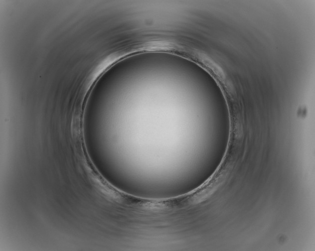 X0000097481473200802221341