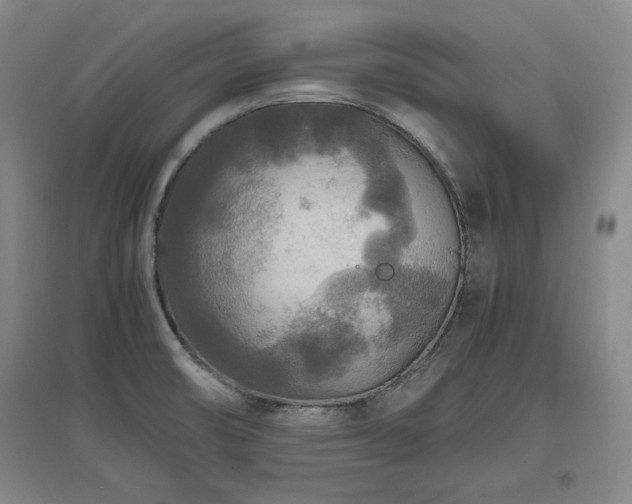 X0000097481474200802221341