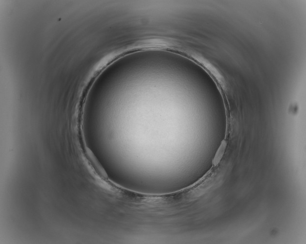 X0000097481477200802221341