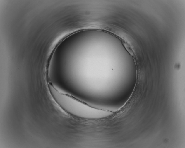 X0000097481480200802221341