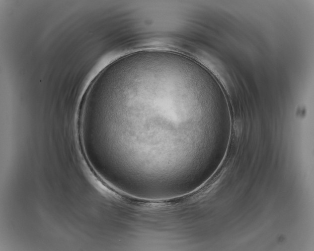 X0000097481482200802221341