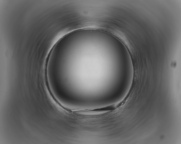 X0000097481483200802221341