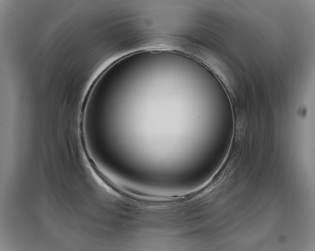 X0000097481484200802221341
