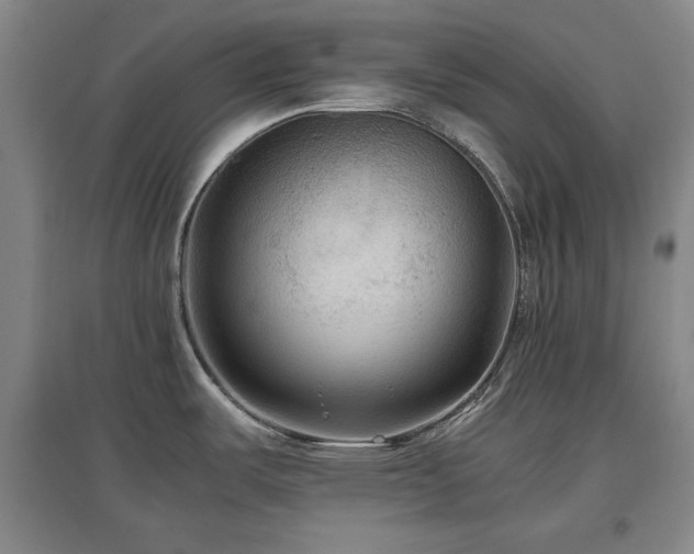 X0000097481487200802221341