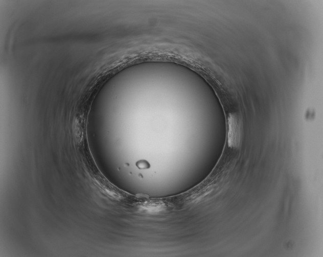 X0000097481491200802221340