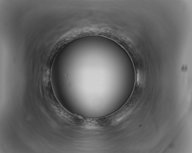 X0000097481492200802221340