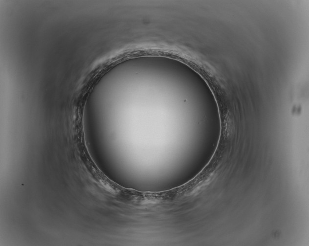 X0000097481494200802221340