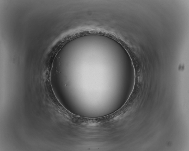 X0000097481495200802221340