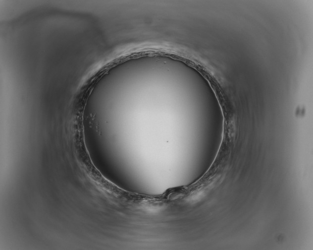 X0000097481496200802221340