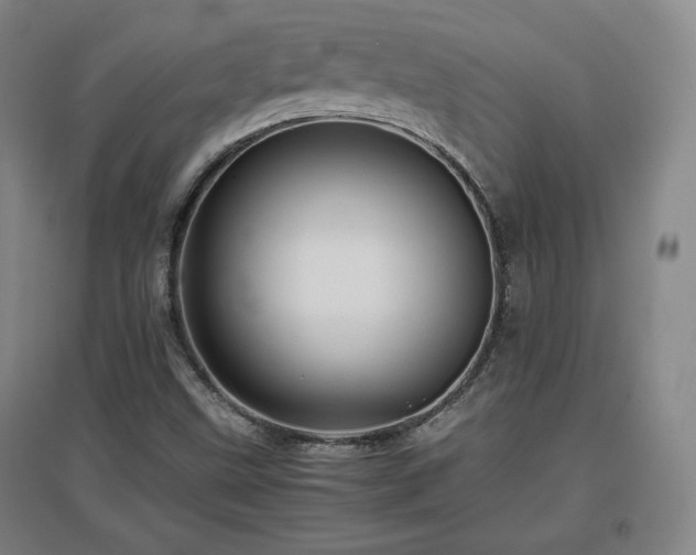 X0000097481499200802221340
