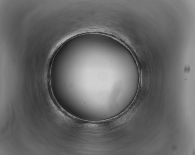 X0000097481500200802221340