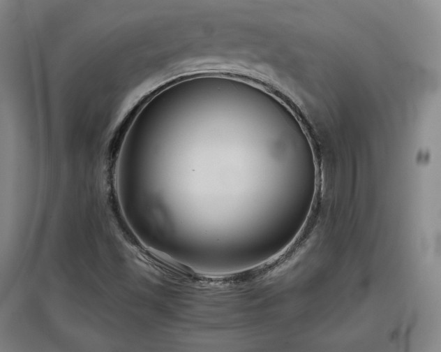 X0000097481501200802221340