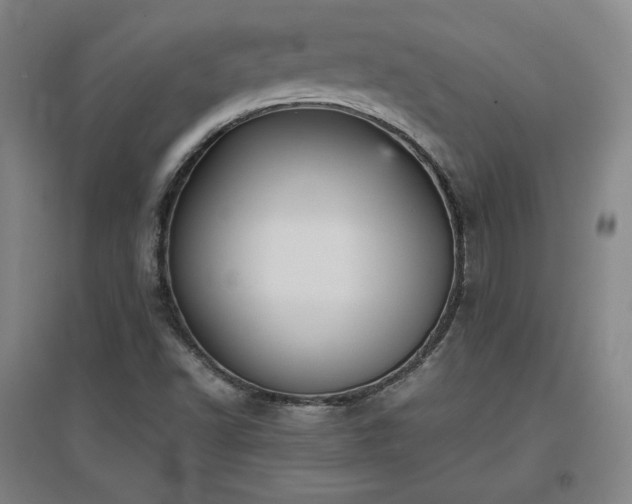 X0000097481502200802221340