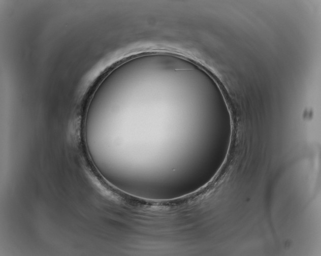 X0000097481503200802221340