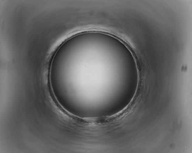 X0000097481504200802221340