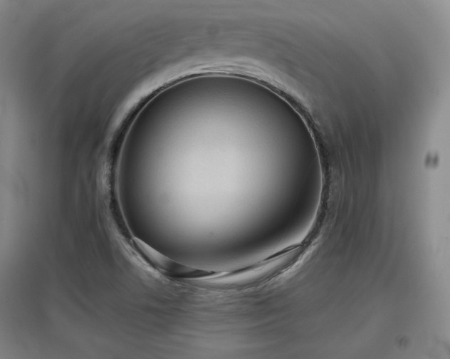 X0000097481506200802221340