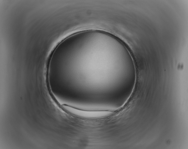 X0000097481508200802221340