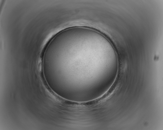 X0000097481509200802221340
