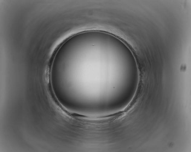 X0000097481510200802221340