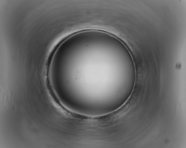X0000097481511200802221340
