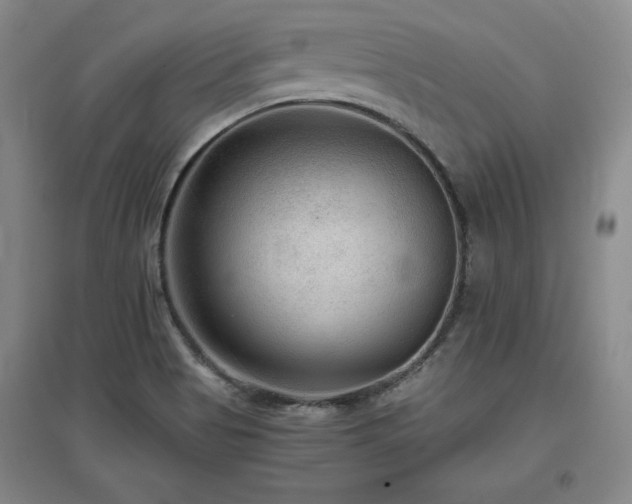X0000097481513200802221340