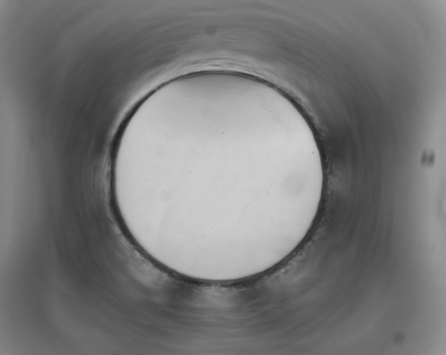 X0000097481514200802221340