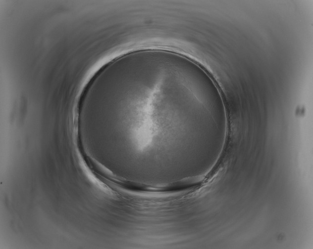 X0000097481515200802221340