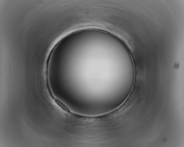 X0000097481516200802221340
