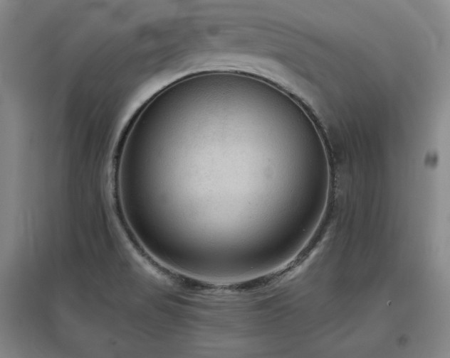 X0000097481517200802221340