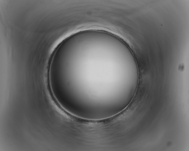 X0000097481518200802221340