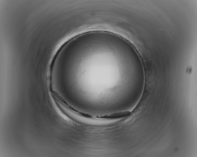 X0000097481519200802221340
