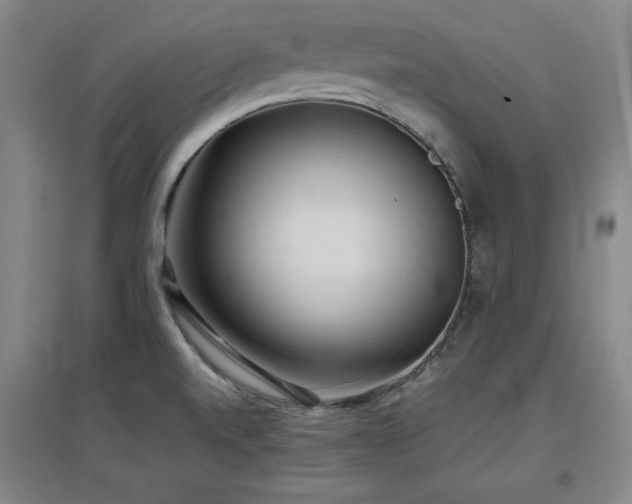 X0000097481520200802221340