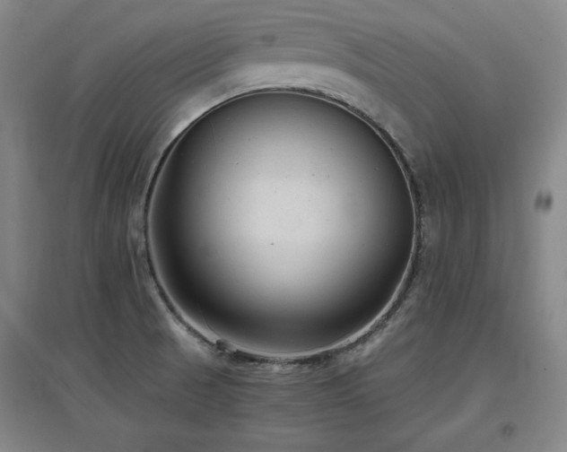 X0000097481521200802221340