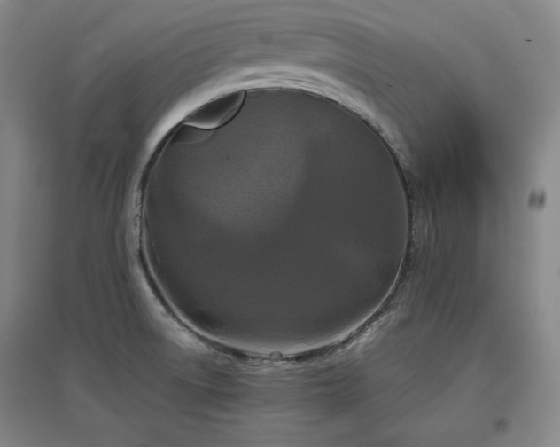 X0000097481522200802221340