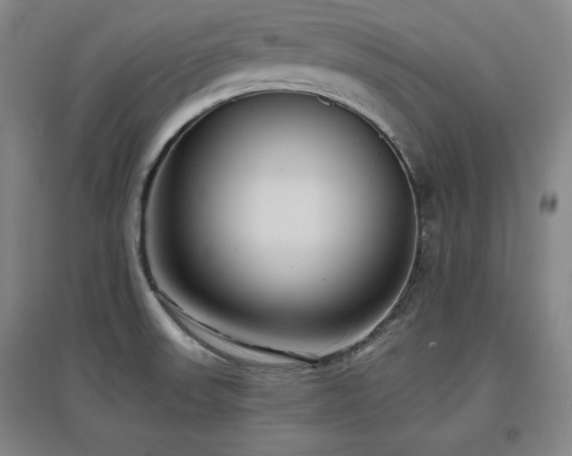 X0000097481523200802221340
