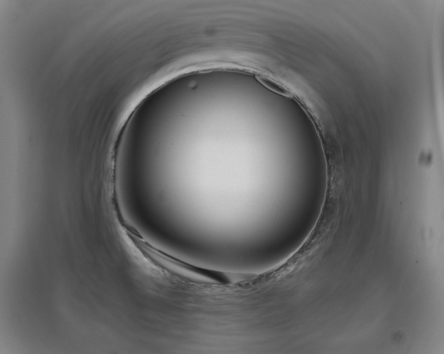 X0000097481524200802221340