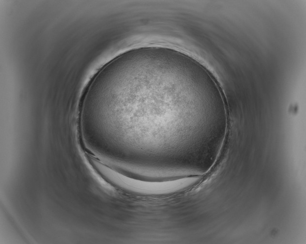 X0000097481525200802221340