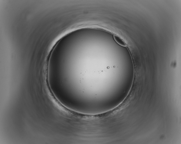 X0000097481526200802221340