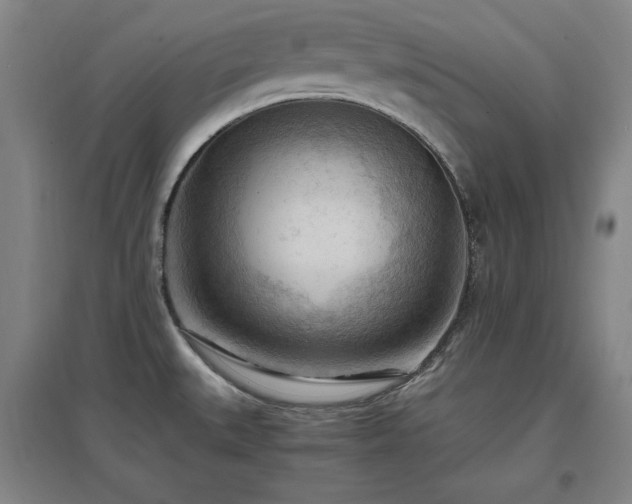 X0000097481527200802221340