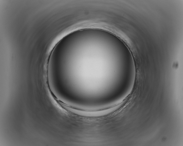X0000097481528200802221340
