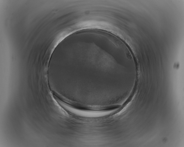 X0000097481529200802221340