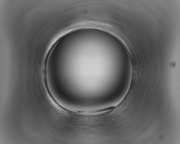 X0000097481531200802221341