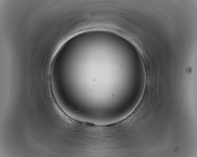 X0000097481532200802221341