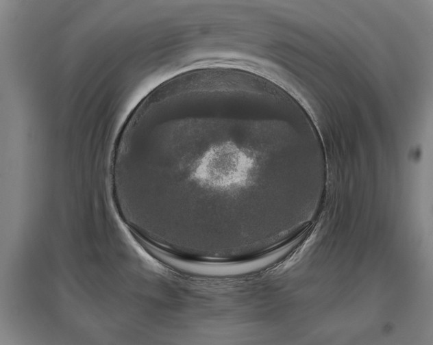 X0000097481533200802221341