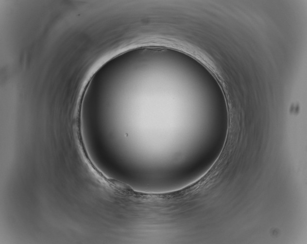 X0000097481536200802221341