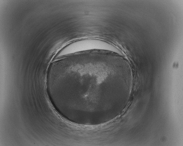 X0000097480002200802291409