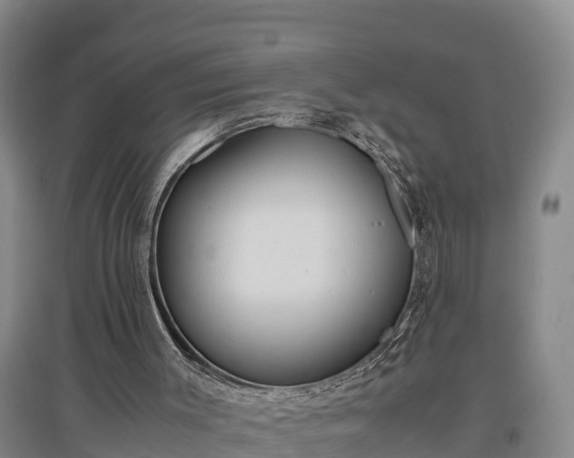 X0000097480003200802291409