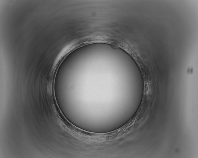 X0000097480004200802291409