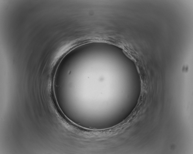 X0000097480005200802291409