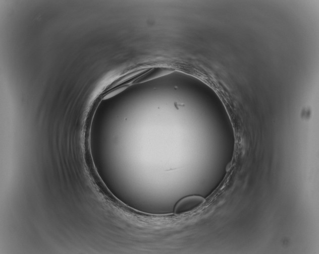 X0000097480006200802291409